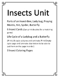 Insects Unit
