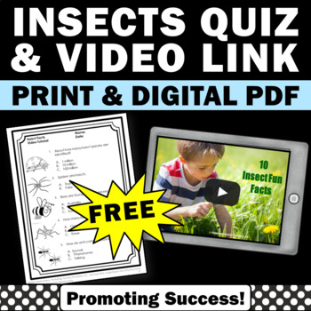 Preview of FREE Bugs and Insects Video and Quiz Science Center Activities Digital Printable