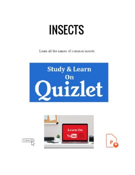 Preview of Insects Vocabulary ESL EFL Science ELA PPTx  Nature  Earth