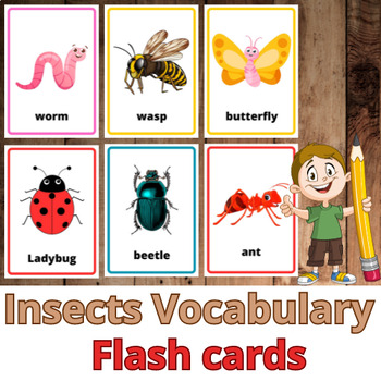 Insects Vocabulary Flashcards. by TEACHLINK | TPT