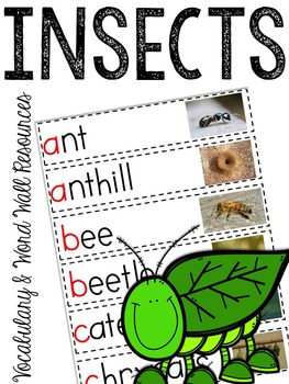 Preview of Insects Vocabulary Science Word Wall