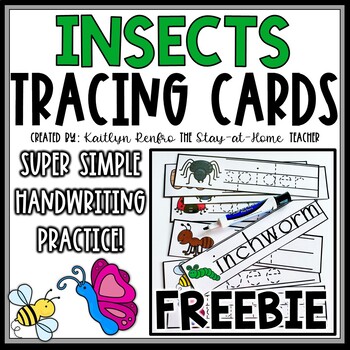 Preview of Insects Vocabulary Tracing Cards | Bug Spring Preschool Activities | Handwriting