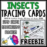 Insects Vocabulary Tracing Cards | Bug Spring Preschool Ac