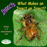 Insects – What Makes an Insect an Insect (Nonfiction Scien