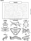 Insects Activity: Word Search Worksheet