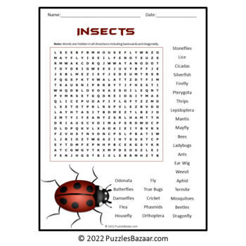 Insects Word Search Puzzle - No Prep Science Activity Printable Pdf