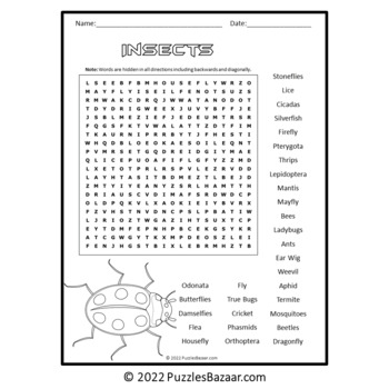 Insects Word Search Puzzle - No Prep Science Activity Printable PDF