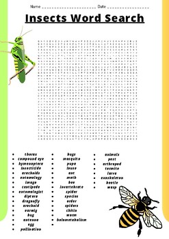 Insects Word Search Puzzle Worksheet Activity by MED HOMES ACTIVITIES