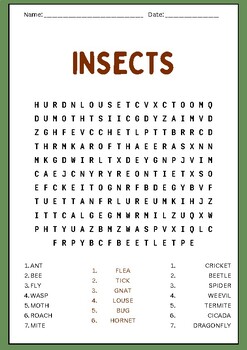 Insects Word Search Puzzles Worksheet Activity by Brain Printable Activity
