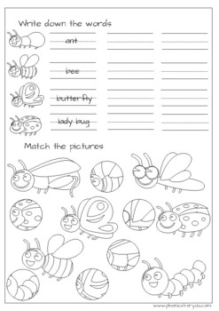 insects worksheet for preschool and first graders by phonicsforyou