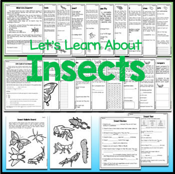 Insects Worksheets and Activities with Test and Answer Keys by Merry ...