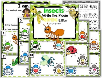 Insects Write the Room - Rhyming Edition by Having Fun in Primary