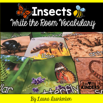 Preview of Insects Write the Room Vocabulary