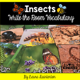 Insects Write the Room Vocabulary