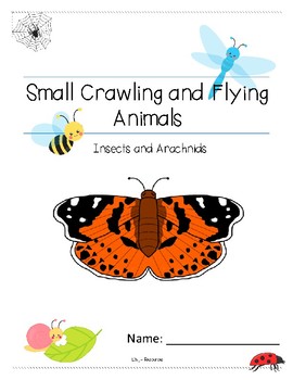 Insects and Arachnids Lower Elementary Small Crawling and Flying Animals