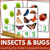 Insects and Bugs Counting Clip Cards Special Ed Spring Mat