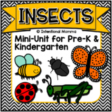 Insects and Bugs, Mini-Unit for Pre-K and Kindergarten
