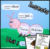 Insect Crafts Bugs and Insects Insect Craft Hey Little Ant