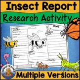 Insects and Bugs Study Research Activity Graphic Organizer