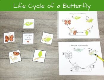 Insects and Bugs Science Activities and Games for Preschool, Pre-K ...
