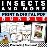 Insect and Bug Printable Summer School Thematic Units Morn