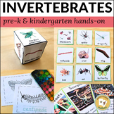 Preschool and Kindergarten Insects and Crawling Creatures Pack