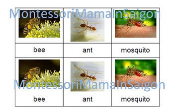 MINI BEASTS INSECTS NATURE CLASS/ HOME/ CHILDMINDER/ EYFS 32 FLASH CARDS 