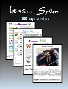 Preview of Insects and Spiders - Activities