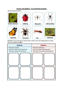 Preview of Insects and Spiders - Cut & Paste Sorting Science Activity (Printable)
