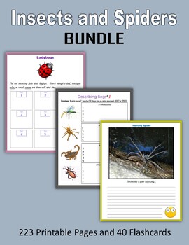 Preview of Insects and Spiders BUNDLE