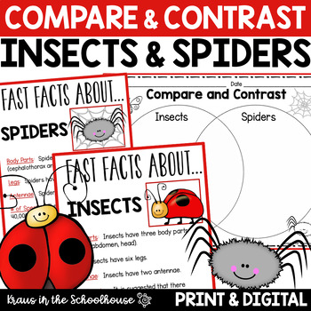 Preview of Compare and Contrast Insects & Spiders Worksheets & Activity Sheets