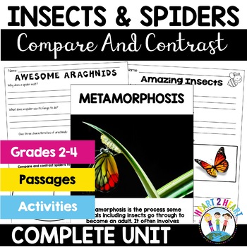 Preview of Insects and Spiders Compare and Contrast Activities Reading Passages Worksheets