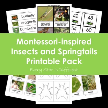 Preview of Insects and Springtails Printable Pack