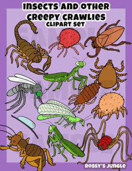 Preview of Insects and other Creepy Crawlies Clip art set