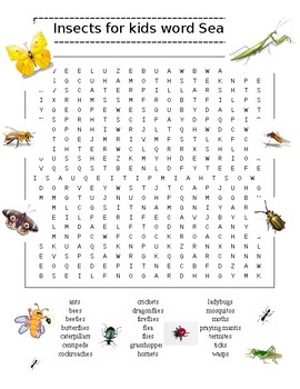 Insects for Kids Word Search Puzzle PLUS General Science Word Search (2 ...