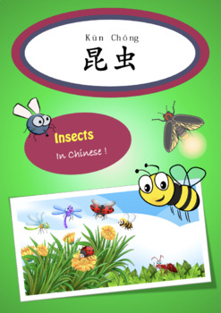 Preview of Insects in Chines 昆虫
