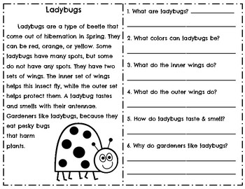 Insect Reading Comprehension Informational Passages l Bugs l Bees l ...
