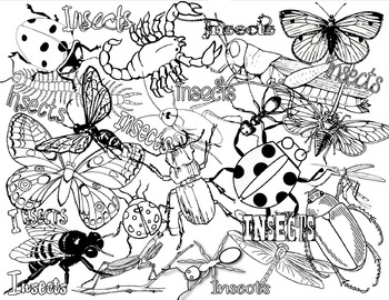 Preview of Insects or Bugs Coloring Page