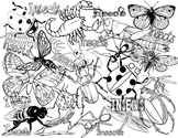 Insects or Bugs Coloring Page