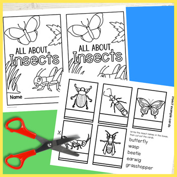 Insects bugs project science lapbook project interactive notebook