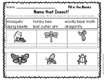 Insects unit by Teaching With Mrs Be | TPT