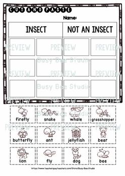 Insects vs Not Insects Sorts | Cut and Paste Worksheets by Busy Bee Studio