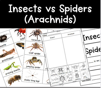 Preview of Insects vs Spiders (Arachnids) Picture Sorts with Sentence Stems