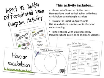 Preview of Insects vs. Spiders Venn Diagram Activity