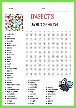 Insects word search Puzzle worksheet activities for kids, | TPT