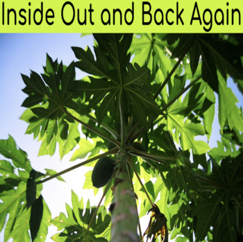 Preview of Inside Out and Back Again - Cultural and Historical Context Webquest