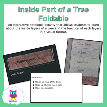 Preview of Inside Part of A Tree Trunk Foldable and Lesson Presentation