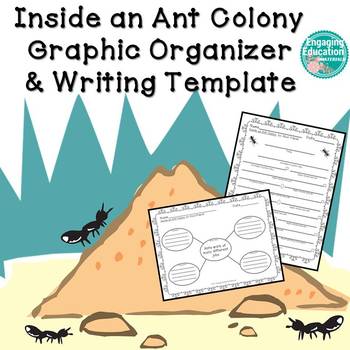 Preview of Inside an Ant Colony Writing Activity