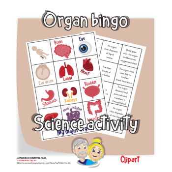 Preview of Inside my body - organ clip art and game (bingo)