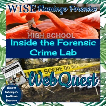 Preview of Inside the Forensic Crime Lab WebQuest PRINT and DIGITAL